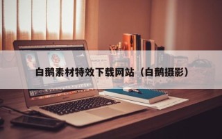 义乌白鹅素材特效下载网站（白鹅摄影）